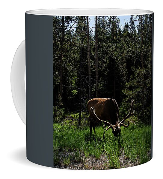 Elk Grazing In A Sunlit Forest In Grand Teton National Park Coffee Mug