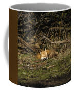Peaceful Fox In Sunlit Meadow Coffee Mug