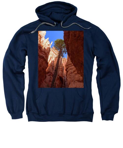 Tree Reaches Skyward In Bryce Canyon National Park Sweatshirt