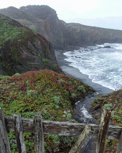 Rocky Coastline With Vibrant Foliage Poster