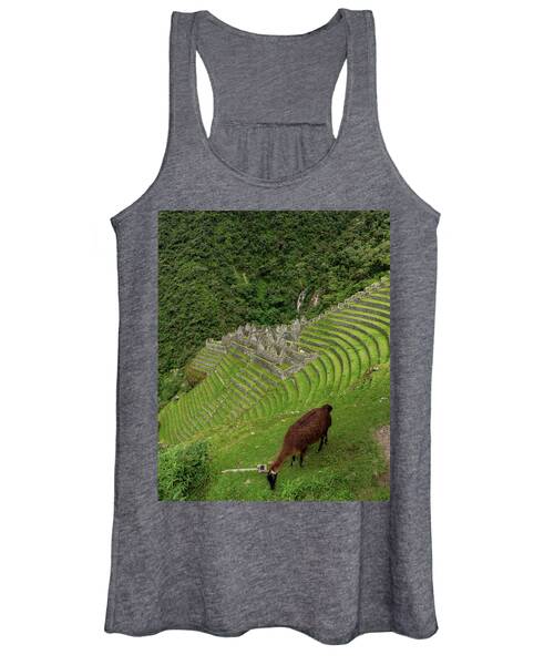 Winay Wayna With Grazing Llama Women's Tank Top