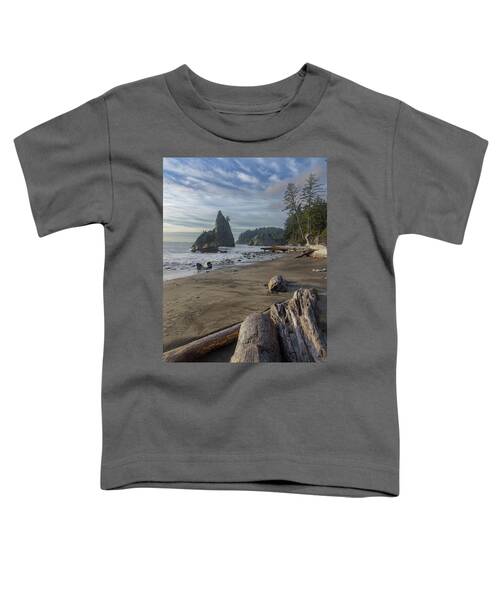 Rugged Coastal Landscape Toddler T-Shirt