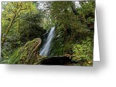 Serene Waterfall in Lush Forest Greeting Card