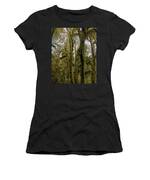 Moss-Covered Trees in a Dense Forest Women's T-Shirt