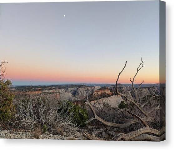Breathtaking Canyon Sunset View Canvas Art Print by Brandon Wichmann