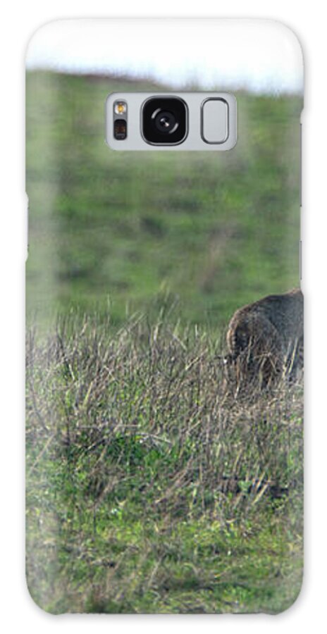 Bobcat in Grassy Field Galaxy Case