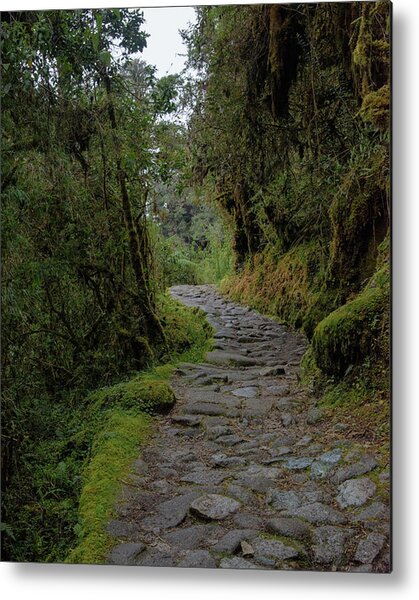 Moss-covered Path Through Lush Forest On The Inca Trail Metal Print