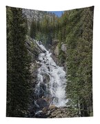 Waterfall Amidst Forest Landscape Tapestry
