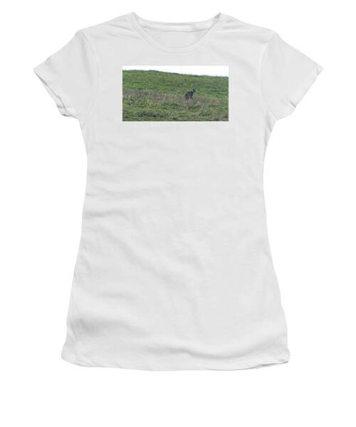 Bobcat in Point Reyes Women's T-Shirt by Brandon Wichmann