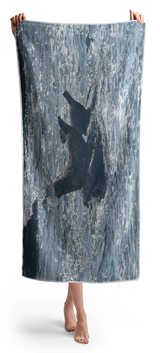 Seals Resting On Rocky Shoreline Beach Towel