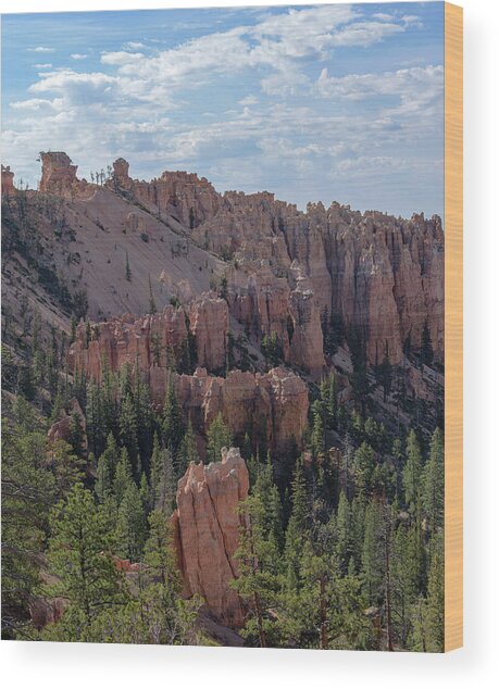 Majestic Bryce Canyon Hoodoos Wood Print
