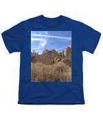 Desert Cliffs In Capitol Reef National Park Youth T-Shirt