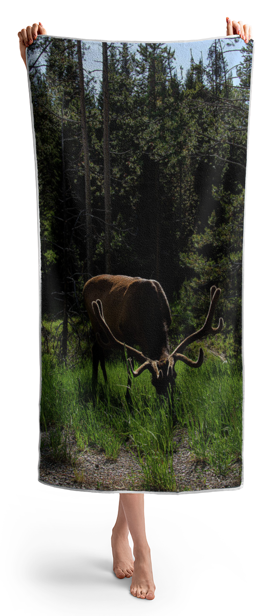 Elk Grazing In A Sunlit Forest In Grand Teton National Park Beach Towel
