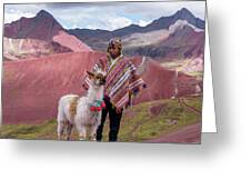 Peruvian Scene With Red Valley And Llama Greeting Card