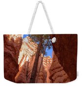 Tree Reaches Skyward In Bryce Canyon National Park Weekender Tote Bag
