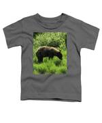 Solitary Bear In Grand Teton National Park Toddler T-Shirt