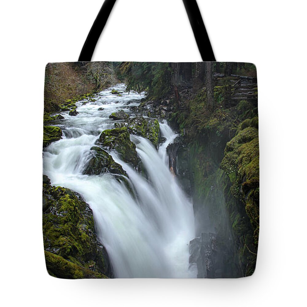 Olympic National Park Tote Bags