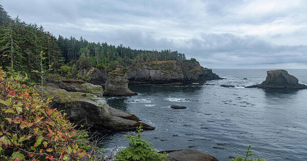 Serene Coastal Cliffs at Dawn Art Print
