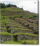 Ancient Terraces Amidst Greenery Acrylic Print