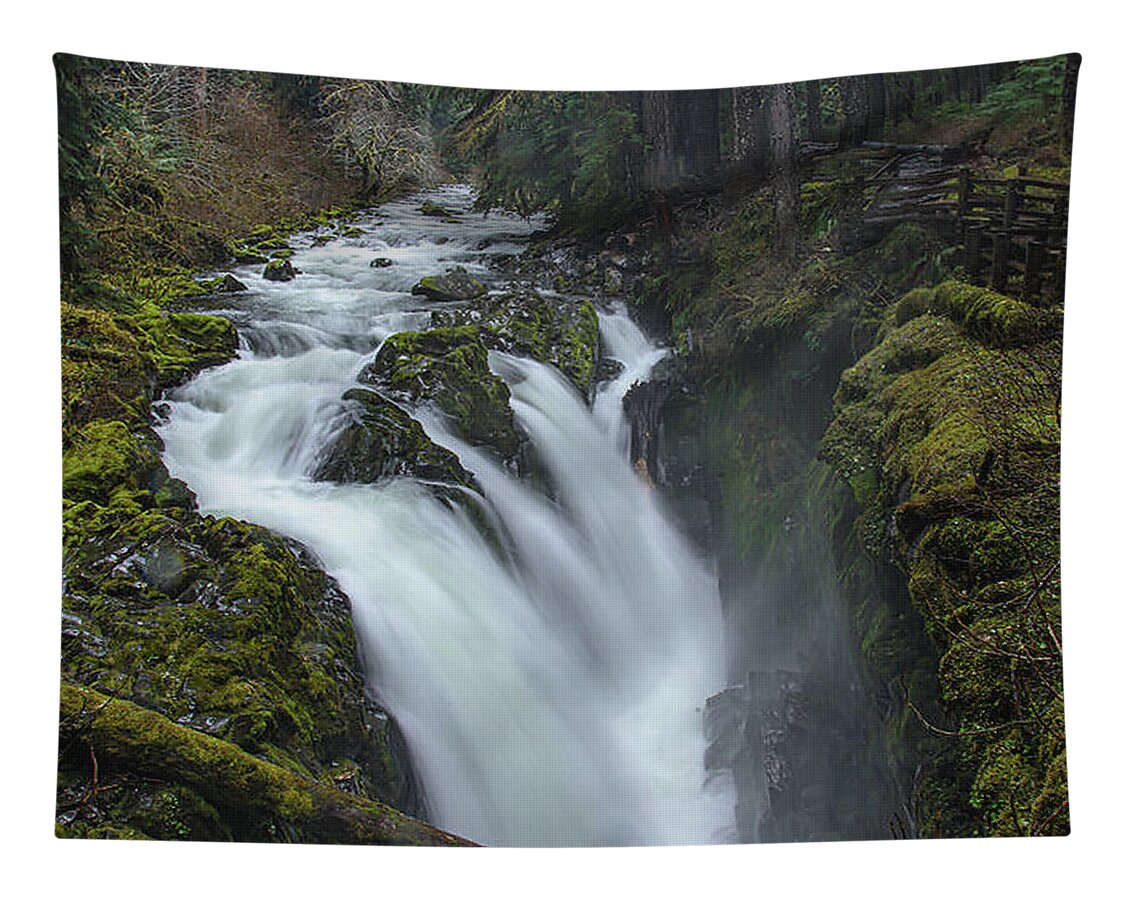 Serene Flow Through Mossy Forest Tapestry