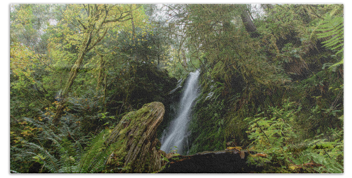 Serene Waterfall in Lush Forest Hand Towel
