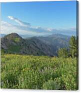 Mountain View with Wildflowers Canvas Print