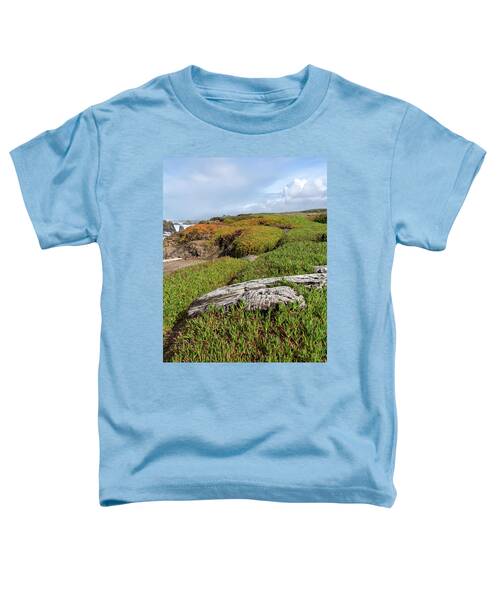 Coastal Landscape with Driftwood Toddler T-Shirt