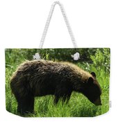 Solitary Bear In Grand Teton National Park Weekender Tote Bag
