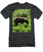 Solitary Bear In Grand Teton National Park T-Shirt