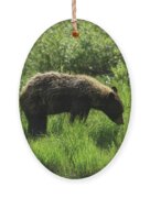 Solitary Bear In Grand Teton National Park Ornament