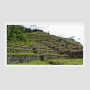 Ancient Terraces Amidst Greenery Sticker
