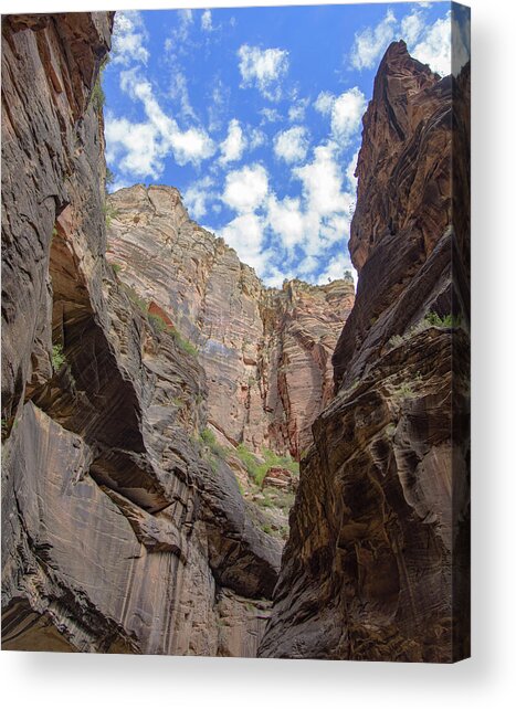 Majestic Canyon Sky View In The Narrows Acrylic Print