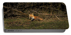 Fox Resting In Sunlit Clearing Portable Battery Charger