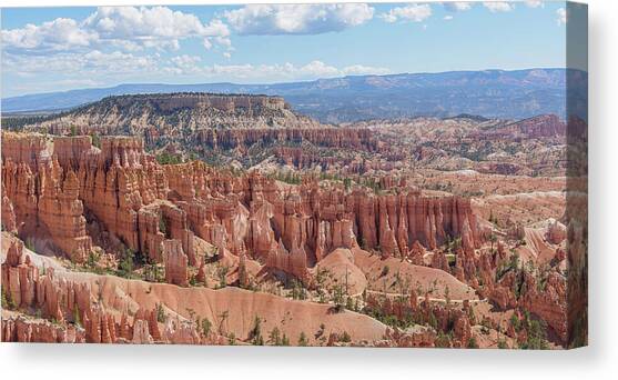 Majestic Hoodoos of Bryce Canyon Canvas Art Print by Brandon Wichmann