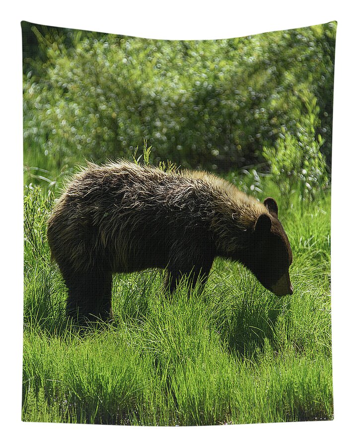 Solitary Bear In Grand Teton National Park Tapestry