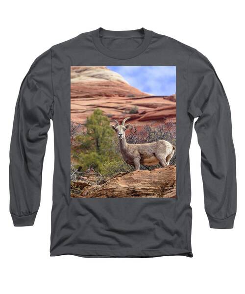 Big Horn Sheep In Zion National Park Long Sleeve T-Shirt