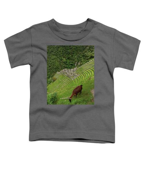 Winay Wayna With Grazing Llama Toddler T-Shirt