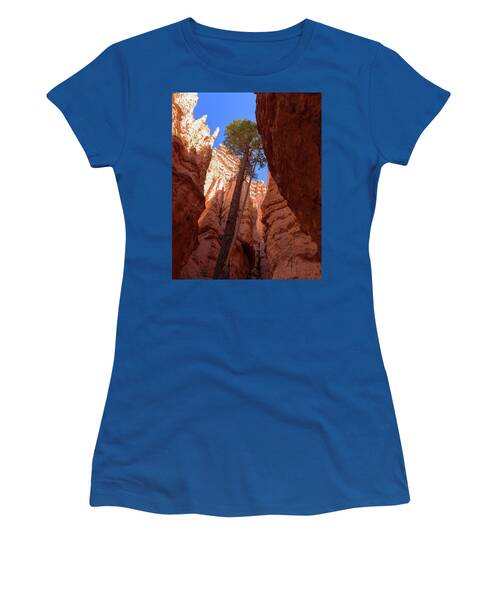 Tree Reaches Skyward In Bryce Canyon National Park Women's T-Shirt