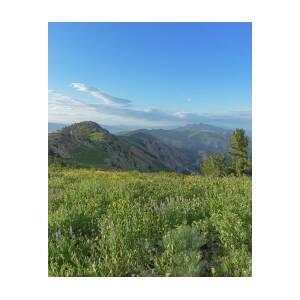Mountain View with Wildflowers by Brandon Wichmann Mountain View with Wildflowers by Brandon Wichmann