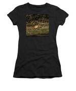 Peaceful Fox In Sunlit Meadow Women's T-Shirt