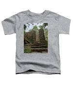 Ancient Stone Passageway Toddler T-Shirt