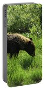 Solitary Bear In Grand Teton National Park Portable Battery Charger