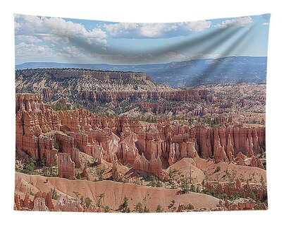 Landscape Tapestries