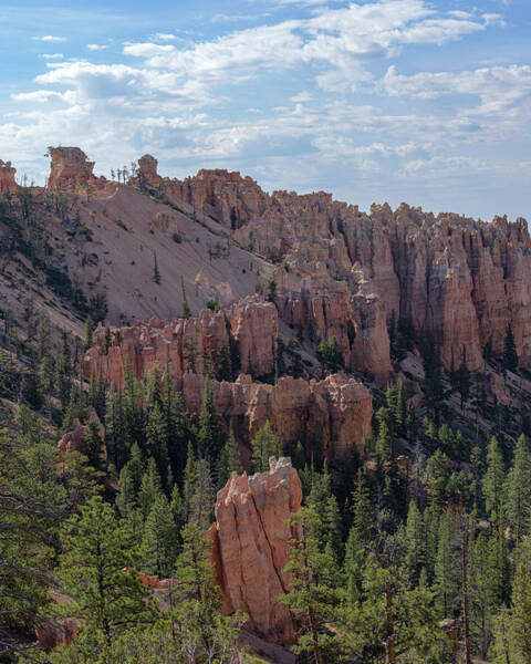 Majestic Bryce Canyon Hoodoos Poster