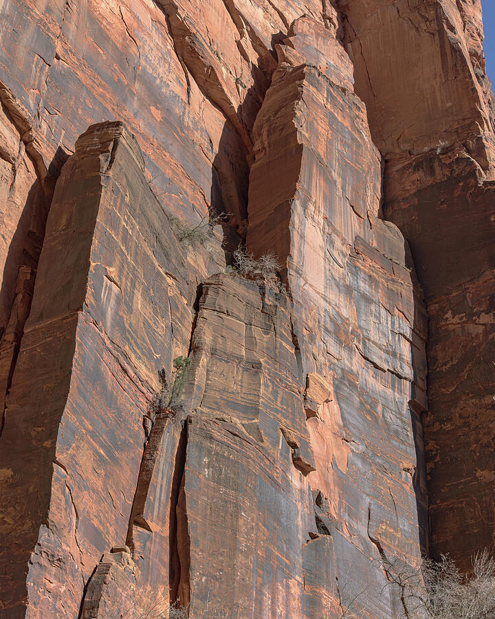 Towering Desert Sandstone Cliffs in Zion National Park Photograph by Brandon Wichmann