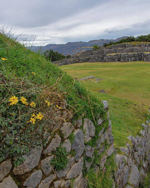 Saqsaywaman In Cusco Peru Art Print