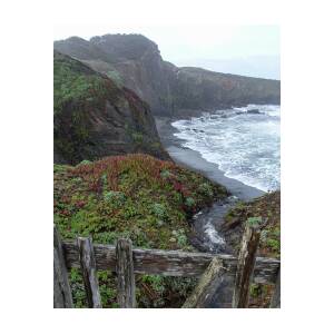 Rocky Coastline with Vibrant Foliage by Brandon Wichmann Rocky Coastline with Vibrant Foliage by Brandon Wichmann