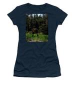 Elk Grazing In A Sunlit Forest In Grand Teton National Park Women's T-Shirt