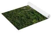 Winay Wayna With Grazing Llama Yoga Mat