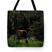 Elk Grazing In A Sunlit Forest In Grand Teton National Park Tote Bag